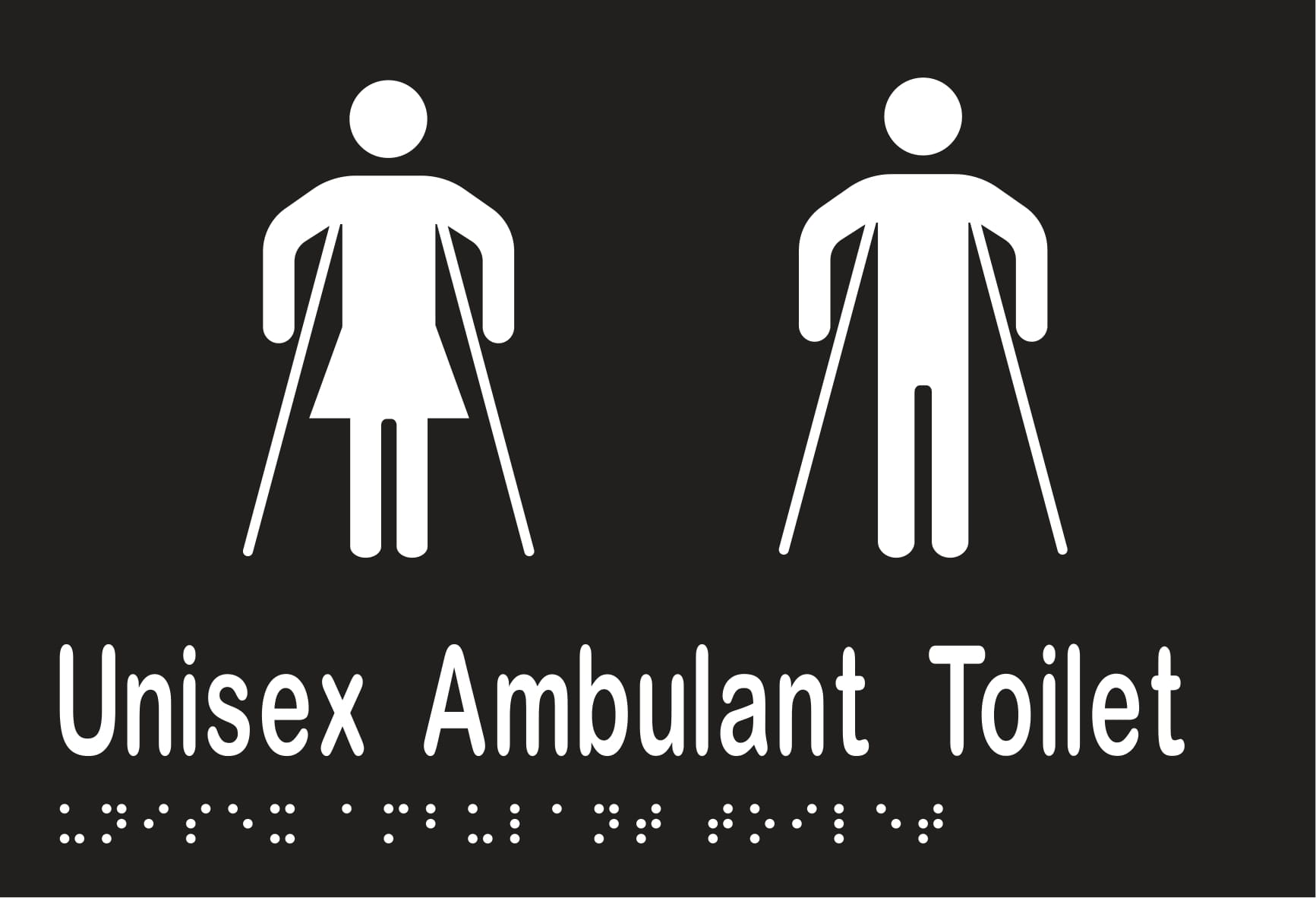 Unisex Ambulant Toilet Braille